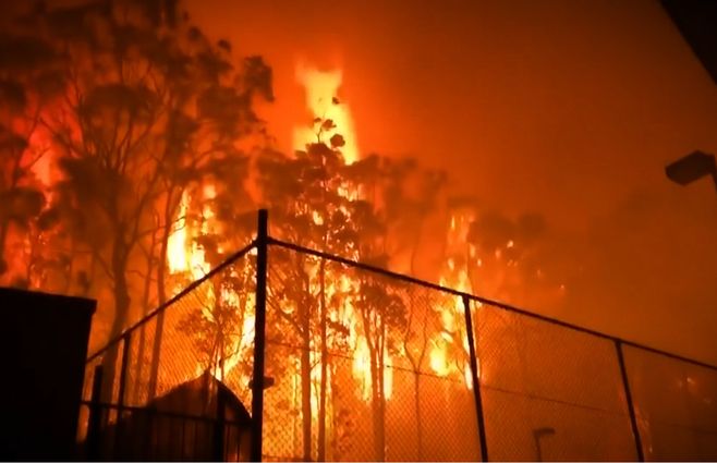 Australia-incendios-árboles.jpg
