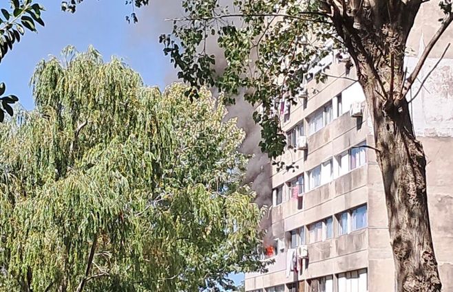 WhatsApp Image 2026-03-15 at 11.39.56