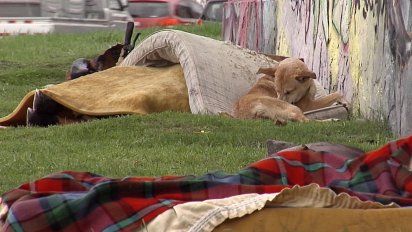 mides habilita mas cupos para personas en situacion de calle