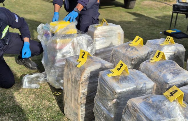 droga-incautada-campo