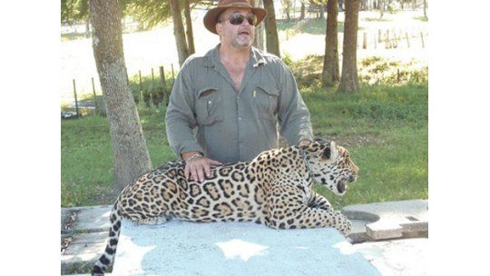 Nacieron jaguares en Zoo de Tacuarembó; los cuida perra galgo