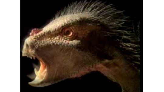 Presentan dinosaurio enano, mezcla de avestruz con vampiro