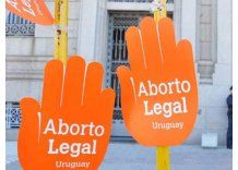 Hubo 6.676 abortos en el primer año de la ley que lo despenalizó