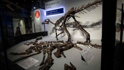 hallan en japon una nueva especie de dinosaurio del tipo pico de pato
