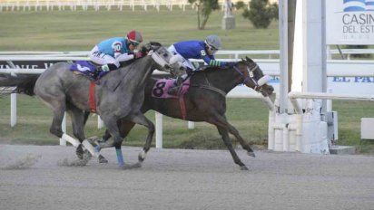 suprema d`or a pura clase gano el handicap especial sisley