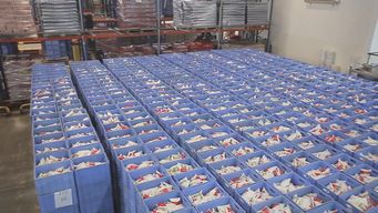 sindicato lacteo para por 24 horas este jueves; denuncian despidos y sanciones en empresa fritran