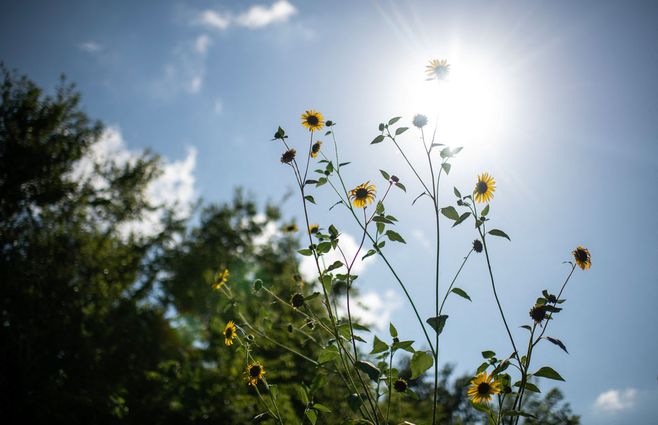 Tiempo estable y caluroso. Foto: AFP