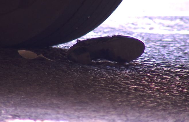 zapato-siniestro-centro-ómnibus