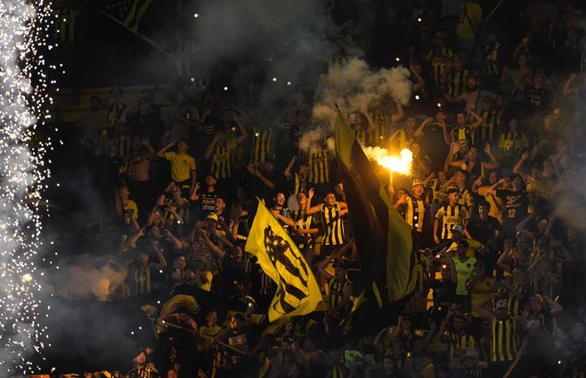 WhatsApp Image 2023-03-12 at 20.20.34.jpeg