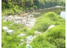 Denuncian basural de agrotóxicos cerca de escuela en Paysandú