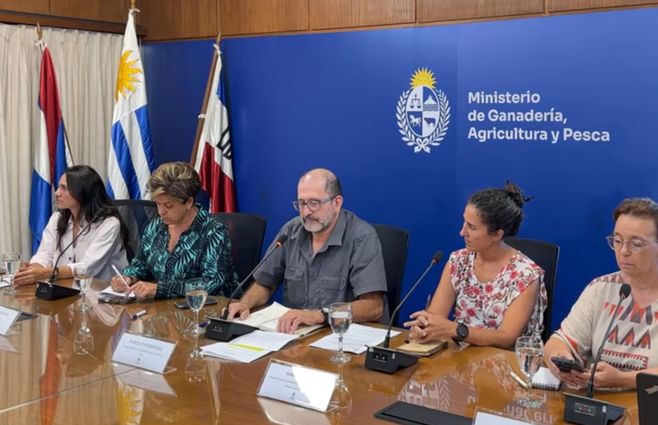 mgap-conferencia-gripe-aviar-