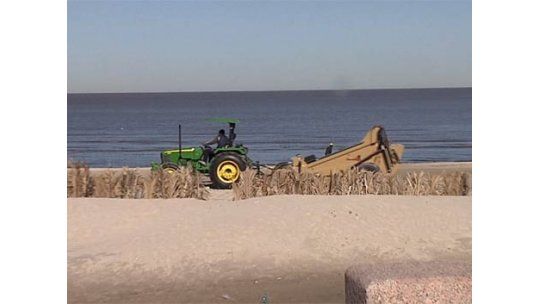 Las aguas de Montevideo están más limpias según informe de la IMM