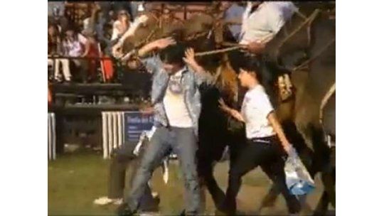 Activistas protestaron en la Criolla por maltrato de animales