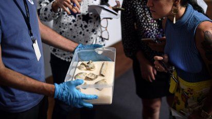hallan fragmentos de luzia bajo los escombros del museo de rio