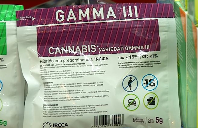 gamma-marihuana-farmacias-cannabis