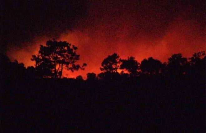 Foto: Willan DIalluto. 