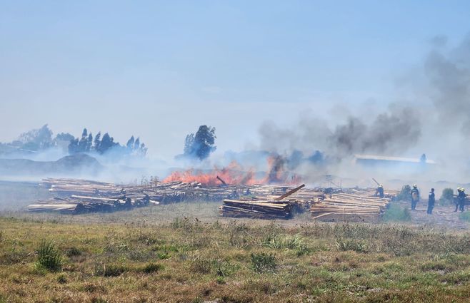 WhatsApp Image 2023-02-12 at 12.06.52.jpeg