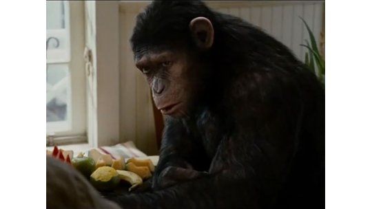 Vuelve la exitosa franquicia “Planeta de los simios”