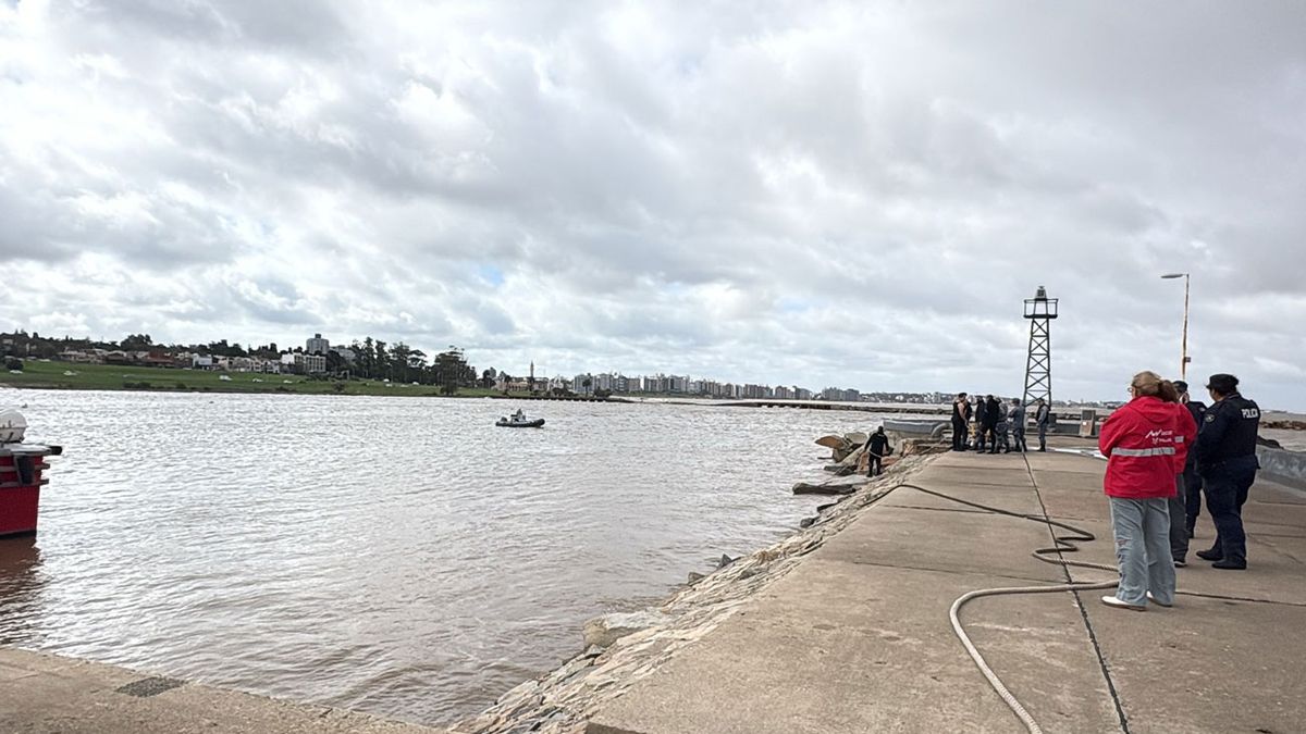 Un auto cayó al agua en el puerto del Buceo; trabaja Prefectura y Bomberos para saber si hay alguien adentro