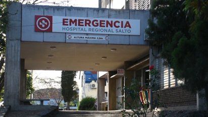 confirman segundo caso de leishmaniasis en una mujer de salto