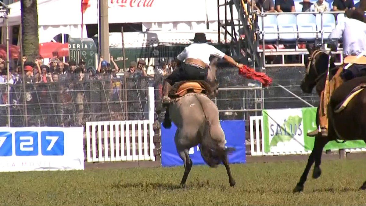 Animalistas e IMM se reunieron por jineteadas: activistas destacan controles en la capital pero buscan que no se hagan más