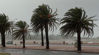 alerta amarilla de meteorologia por vientos fuertes y persistentes: rachas de 80 km/h