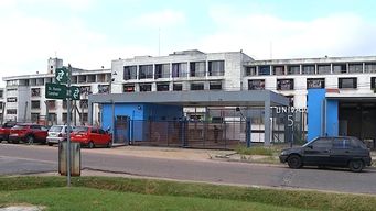 investigacion revela que el principal delito de las mujeres privadas de libertad es el trafico de drogas