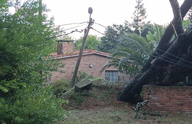tormenta piriapolos (7).jpeg