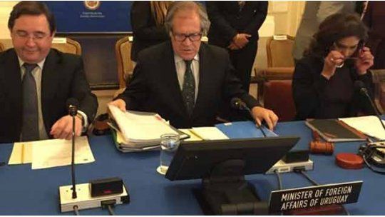 almagro oea