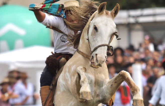 CRIOLLAS-DEL-PRADO-2023.jpg