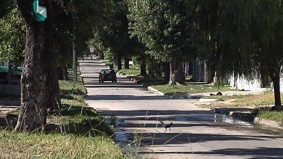 una mujer fue hallada muerta, semidesnuda y con heridas en la cabeza