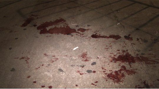 sangre 2