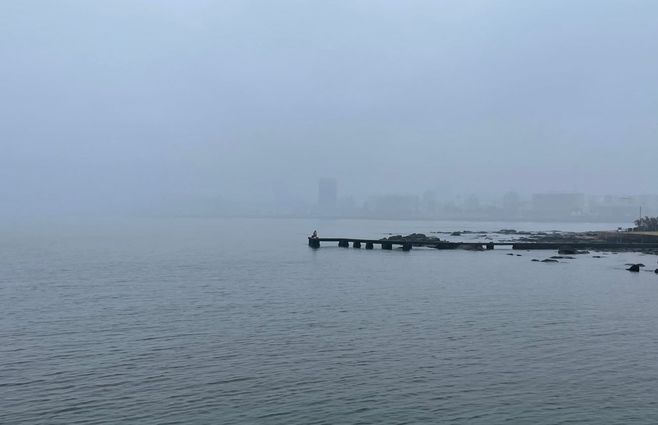 PLAYA-RAMÍREZ--NIEBLA.jpg