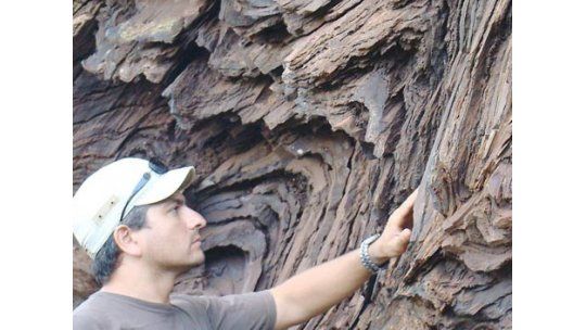 Geólogos uruguayos descubren vida animal con 585 millones de años