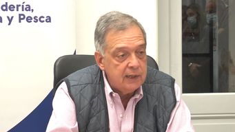 china suspende de forma temporaria exportacion de carne de frigorifico uruguayo