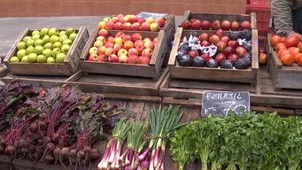 nueva lista inteligente: la recomendacion de la unidad agroalimentaria para consumir frutas y verduras de estacion