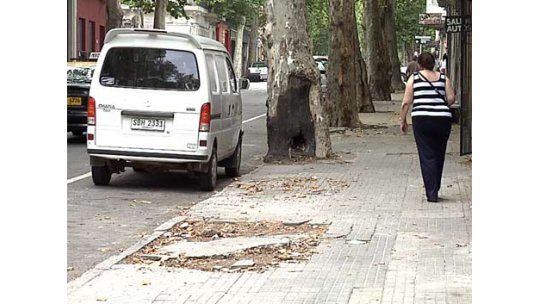 IM advierte que falsos funcionarios cobran por arreglar veredas