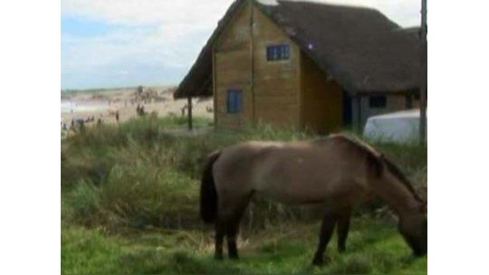 Demolerán casas privadas en tierras estatales de Punta del Diablo