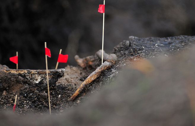Foto: FocoUy. Restos hallados en Batallón 13, 28 de agosto de 2019.