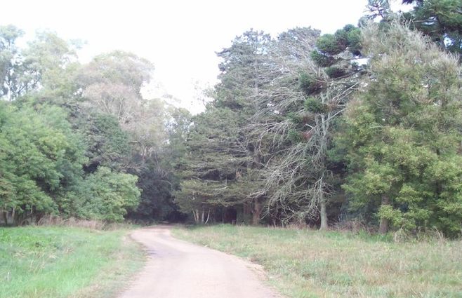 Foto: Intendencia de Canelones