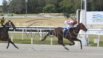 Subrayado | MICRO TURF 14 D DIC