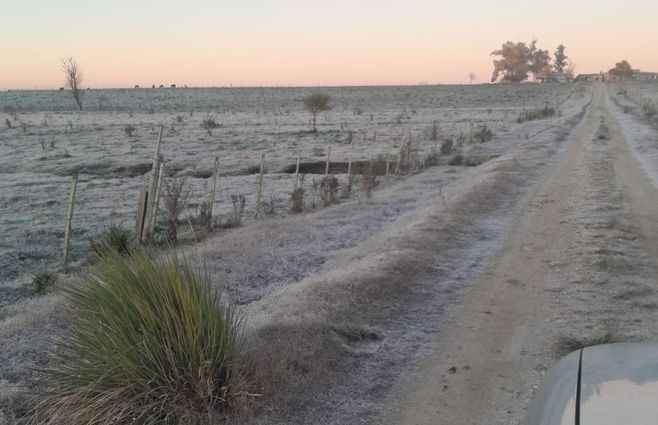 Heladas en el interior del país, Juan Soler, 2 de julio. Foto: enviada a Subrayado.