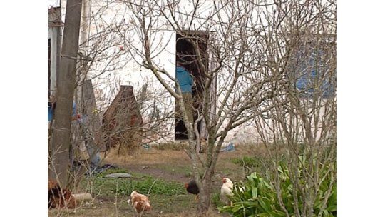 Internaron en el Vilardebó a la joven encerrada en un galpón