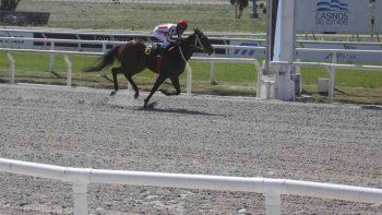 Subrayado | turf-15desetiembre.jpg