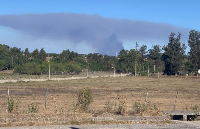 Foto: Emiliano Gutiérrez, Subrayado. Vista del incendio de Colonia Etchepare.