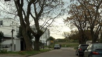 liberaron al tercer detenido por el homicidio del hombre al que le robaron el auto