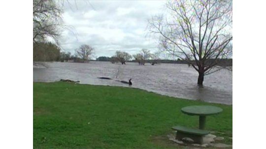 Cada vez hay menos evacuados; ahora son 205