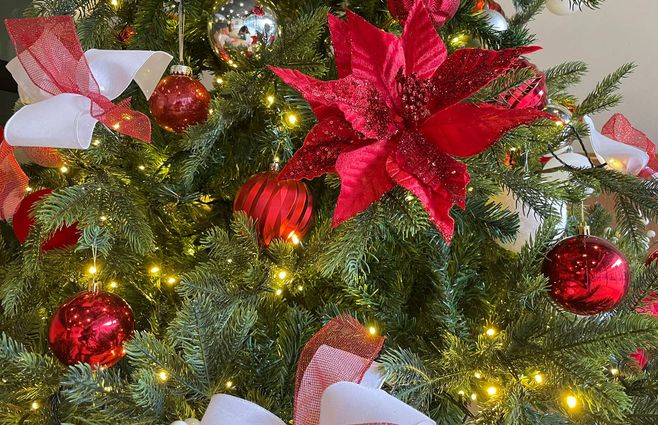 navidad-tiempo-árbol-2025