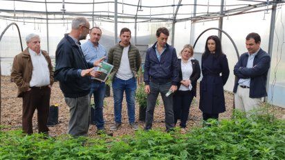 sartori aseguro que uruguay puede ser lider en industria del canamo