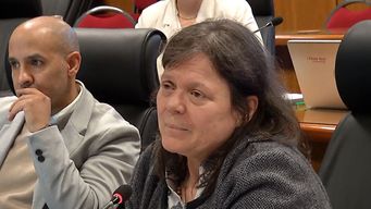 orsi dijo que no enviara venia de ferrero y sostuvo que esto no se arregla con un papel y menos con un manoseo